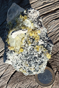 Zinkblende xx ( Sphalerit ) auf Steinsalz xx ( !!!! )