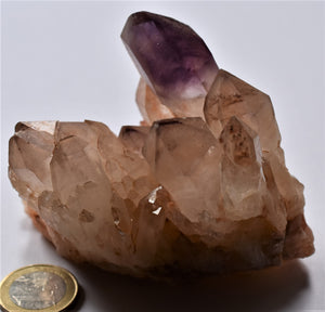 Amethyst xx ( Quarz )