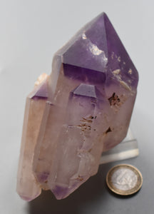 Amethyst x ( Quarz )