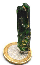 verdelite x ( tourmaline, elbaite )