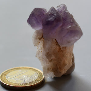 Amethyst x (Quarz )