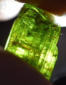 verdelite x ( tourmaline, elbaite )