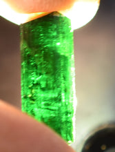 verdelite x ( tourmaline, elbaite )