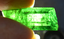 verdelite x ( tourmaline, elbaite )